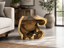 Load image into Gallery viewer, Console (trunk) in Suar wood