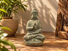 Charger l'image dans la galerie, Statue de Bouddha au fini bronze patiné posée près d'une plante