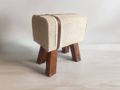 Canvas and leather stool