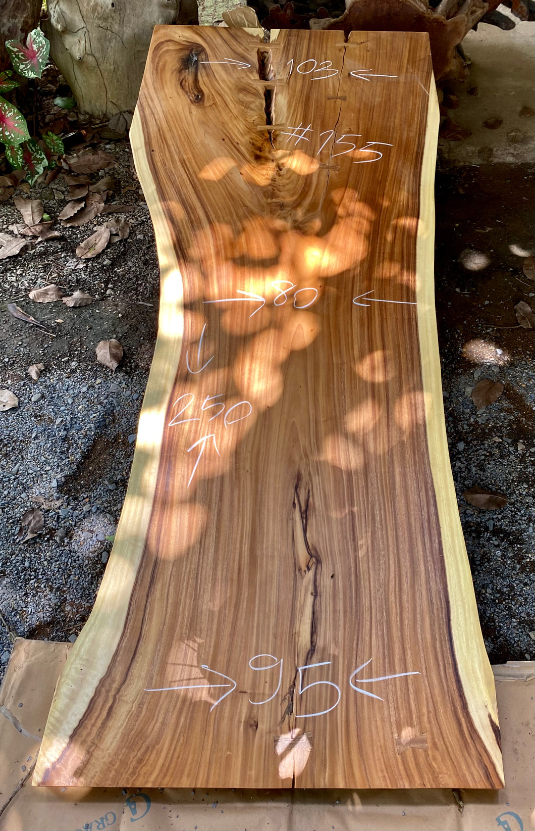 Slab (98
