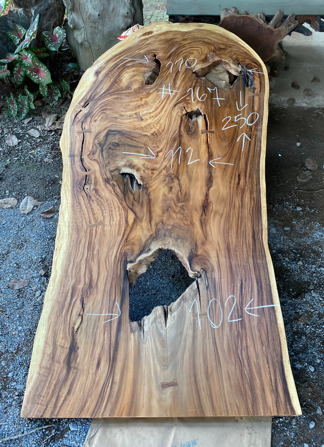 Slab (98